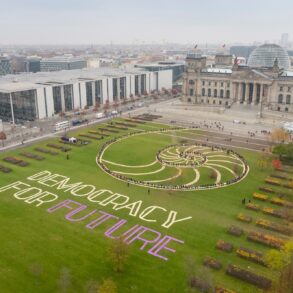 Schriftzug "Democracy for Future" auf der Wiese vor dem Reichstag in Berlin. Foto: Mehr Demokratie e.V.